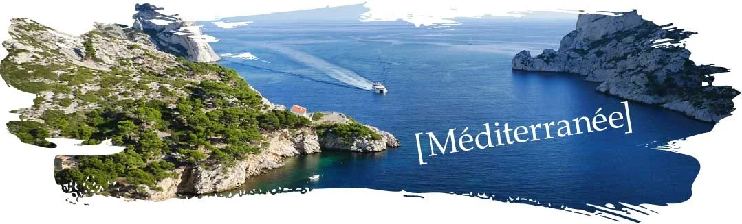 Mediterranee