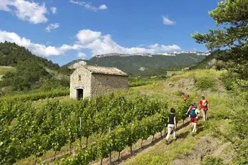 Paysage forestier préservé et maison forestière pour séjour Retrouvance