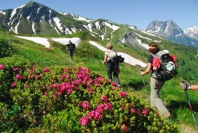 Paysage de montagne en été pour randonnée et activités de plein air