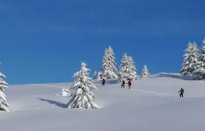 Paysage de montagne en hiver pour randonnée et sports de neige