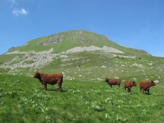 Tour des Volcans d'Auvergne