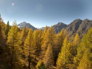 Couleurs d'automne en Queyras