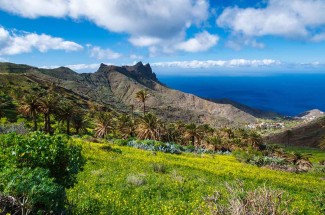 Tour de la Gomera en Liberté - Canaries