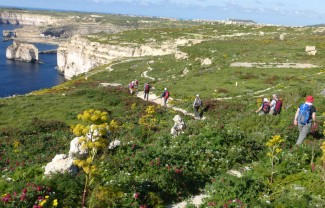 Malte, Gozo & Camino - Malte