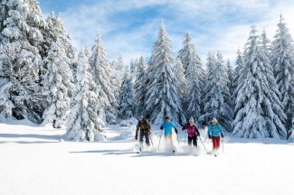 WE ski de randonnée nordique Vercors - France