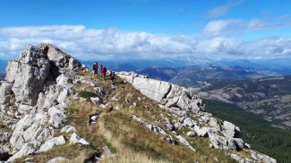 Retrouvance® : Haute-Provence - France