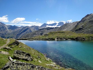 Grand Paradis en liberté - Italie