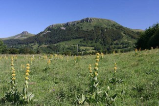 Lacs et Volcans d'Auvergne - France