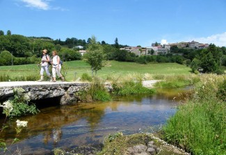Saint Jacques de Compostelle : Le Puy à Aumont Aubrac - France