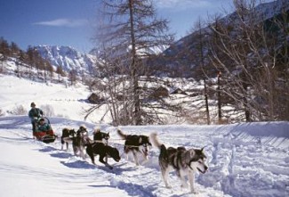 Cocktail Neige en Vallée de Névache - France