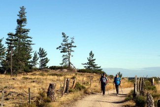 Chemins de Compostelle : Le Puy - Nasbinals - France