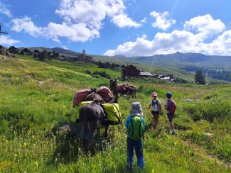 Rando Queyras avec un âne - France