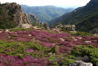 Caroux en Liberté - France