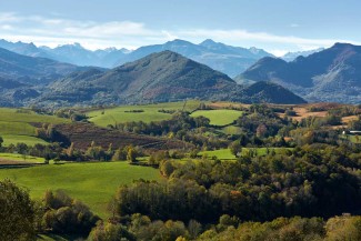 Chemins de Compostelle : Toulouse - Maubourguet - France