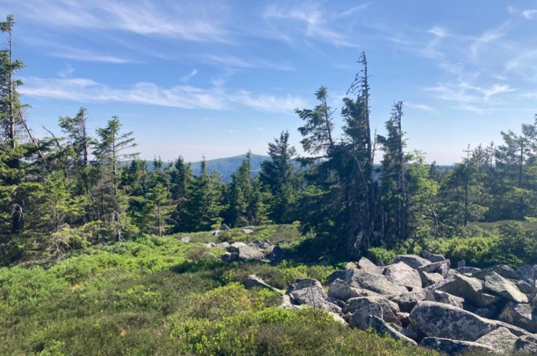 La vie en Vosges : les randos qu’il vous faut !