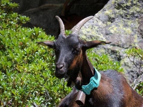 Rando & Balnéo Néouvielle Gavarnie - Photo 2