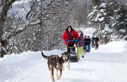 Cocktail Neige dans le Vercors - Photo 4