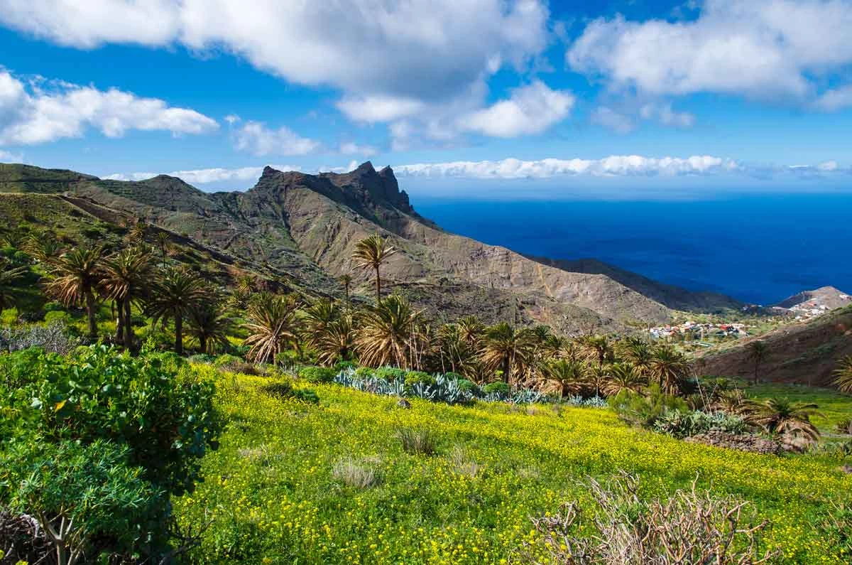 Tour de la Gomera en Liberté - Photo 3