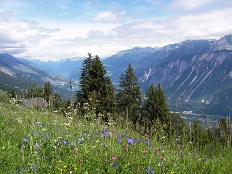 Les Bisses du Valais - Photo 1