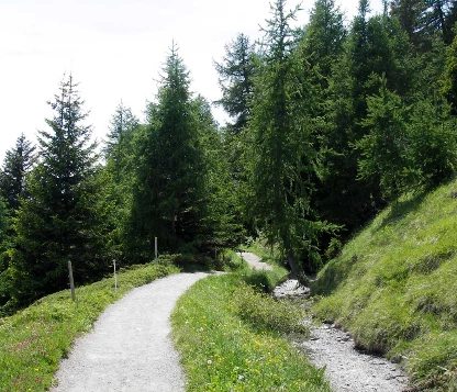 Les Bisses du Valais - Photo 6