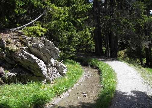 Les Bisses du Valais - Photo 7