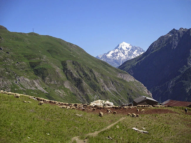 Tour du Mont Blanc Sud - Photo 4
