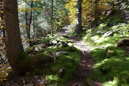 Traversée des Alpages des Aravis - Photo 10