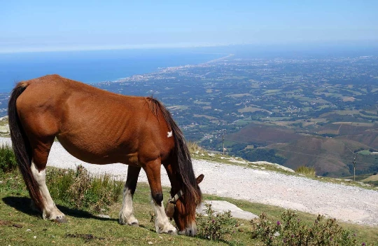 Rando & Détente à St Jean de Luz - Photo 4