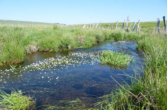 Tour de l'Aubrac en liberté - Photo 6