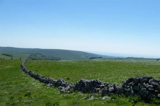 Tour de l'Aubrac en liberté - Photo 9