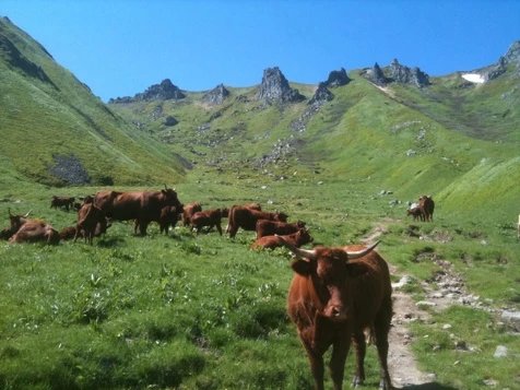 Tour des Volcans d'Auvergne - Photo 8