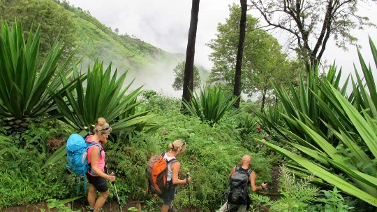 Au coeur de Santo Antao - Photo 1