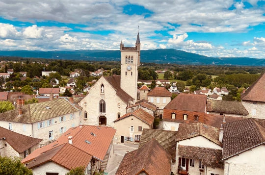 Le Rhône à vélo : Genève - Lyon - Photo 5
