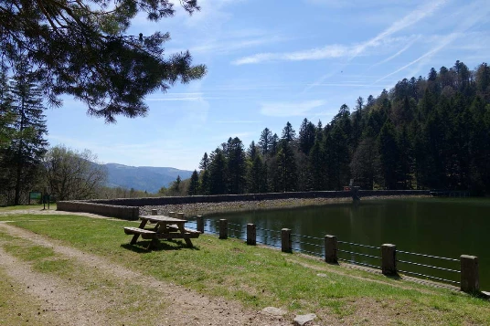 Traversée des Hautes Vosges - Photo 8