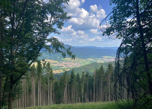 Traversée des Hautes Vosges - Photo 7