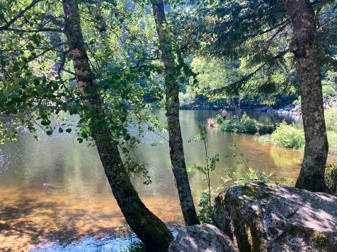 Traversée des Hautes Vosges - Photo 6