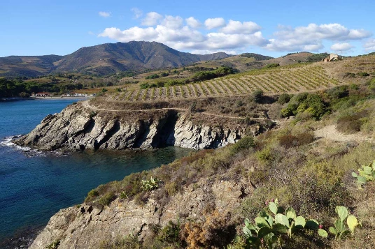 Rando & bien-être Banyuls - Photo 6