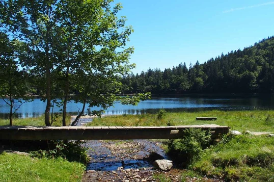 Traversée de la Forêt Noire en liberté - Photo 4