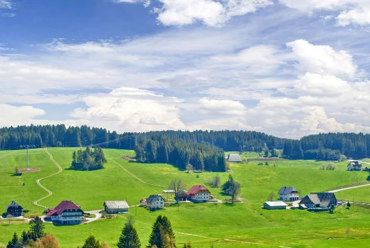 Traversée de la Forêt Noire en liberté - Photo 1