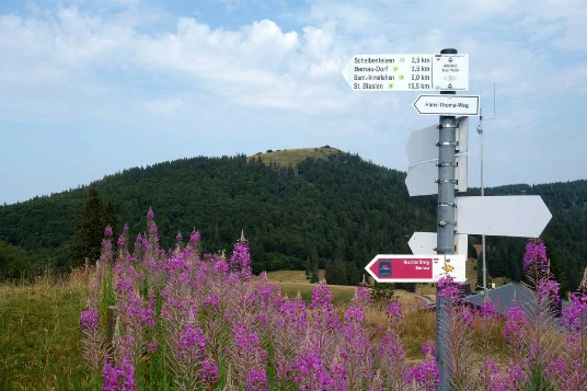 Traversée de la Forêt Noire en liberté - Photo 9