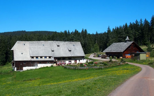 Traversée de la Forêt Noire en liberté - Photo 7