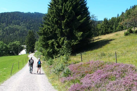 Traversée de la Forêt Noire en liberté - Photo 5