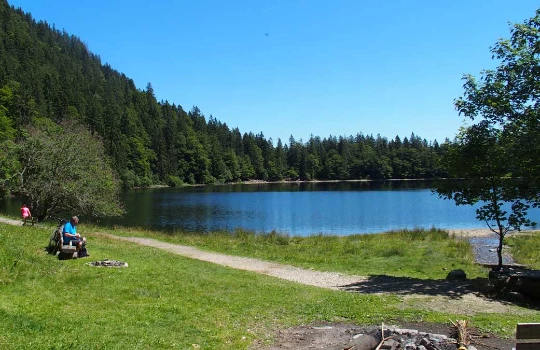 Traversée de la Forêt Noire en liberté - Photo 3