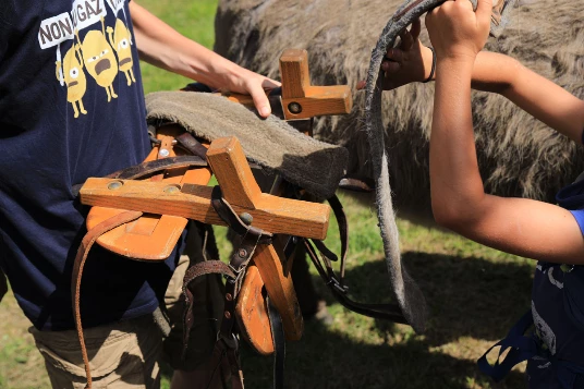 Ardèche en liberté avec un âne - Photo 8