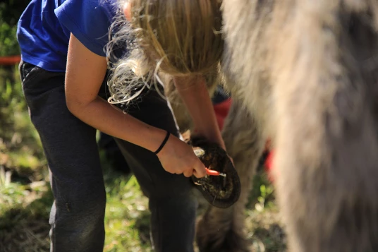 Ardèche en liberté avec un âne - Photo 4