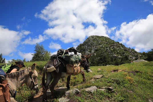 Ardèche en liberté avec un âne - Photo 6