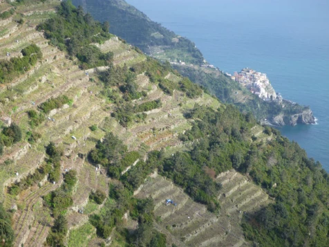 Cinque Terre en liberté - Photo 6