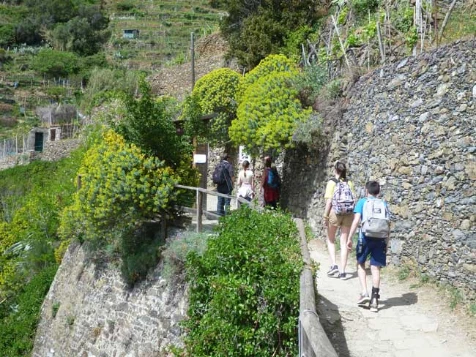 Cinque Terre en liberté en Hôtel ** - Photo 11
