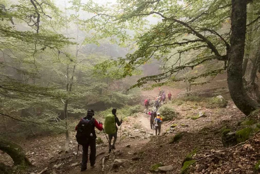GR20 Sud en liberté - Photo 5