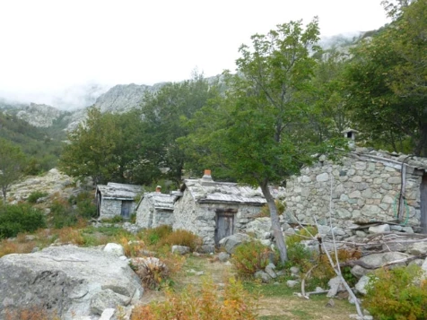 GR20 Sud en liberté - Photo 11